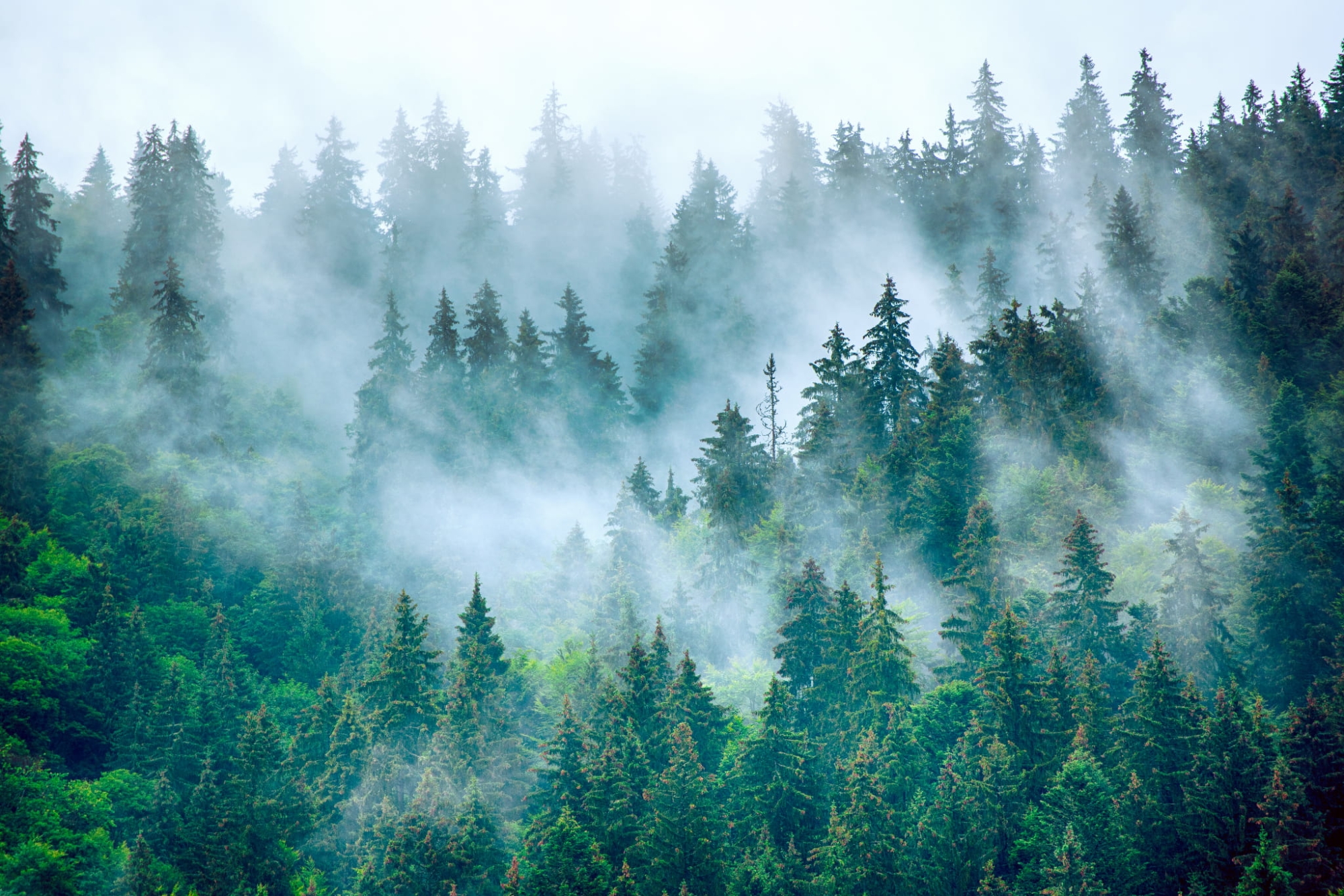 AdobeStock_372241891.jpeg